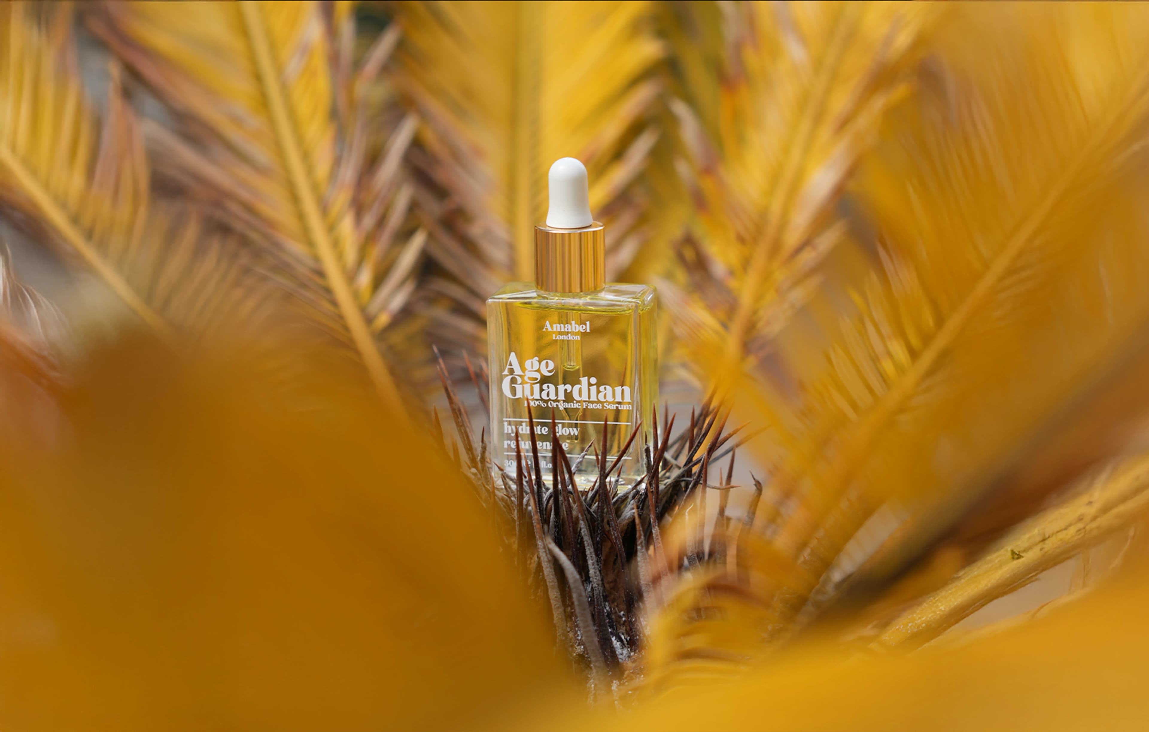 2026: THE NEXT CHAPTER