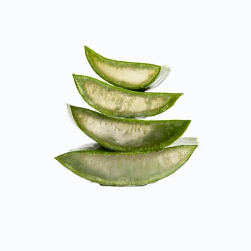 Organic Aloe Vera
