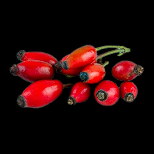 Rosehip Oil